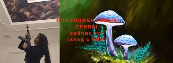 СК Белокуриха