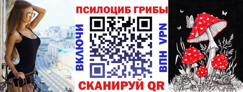 Галлюциногенные грибы Psilocybe Купить где Борисоглебск